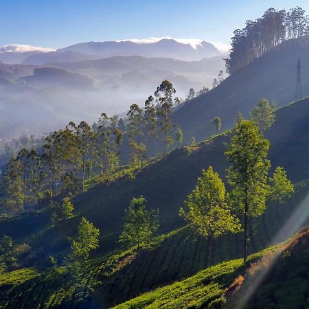 Grace Inn Munnar Homestay Eksteriør bilde