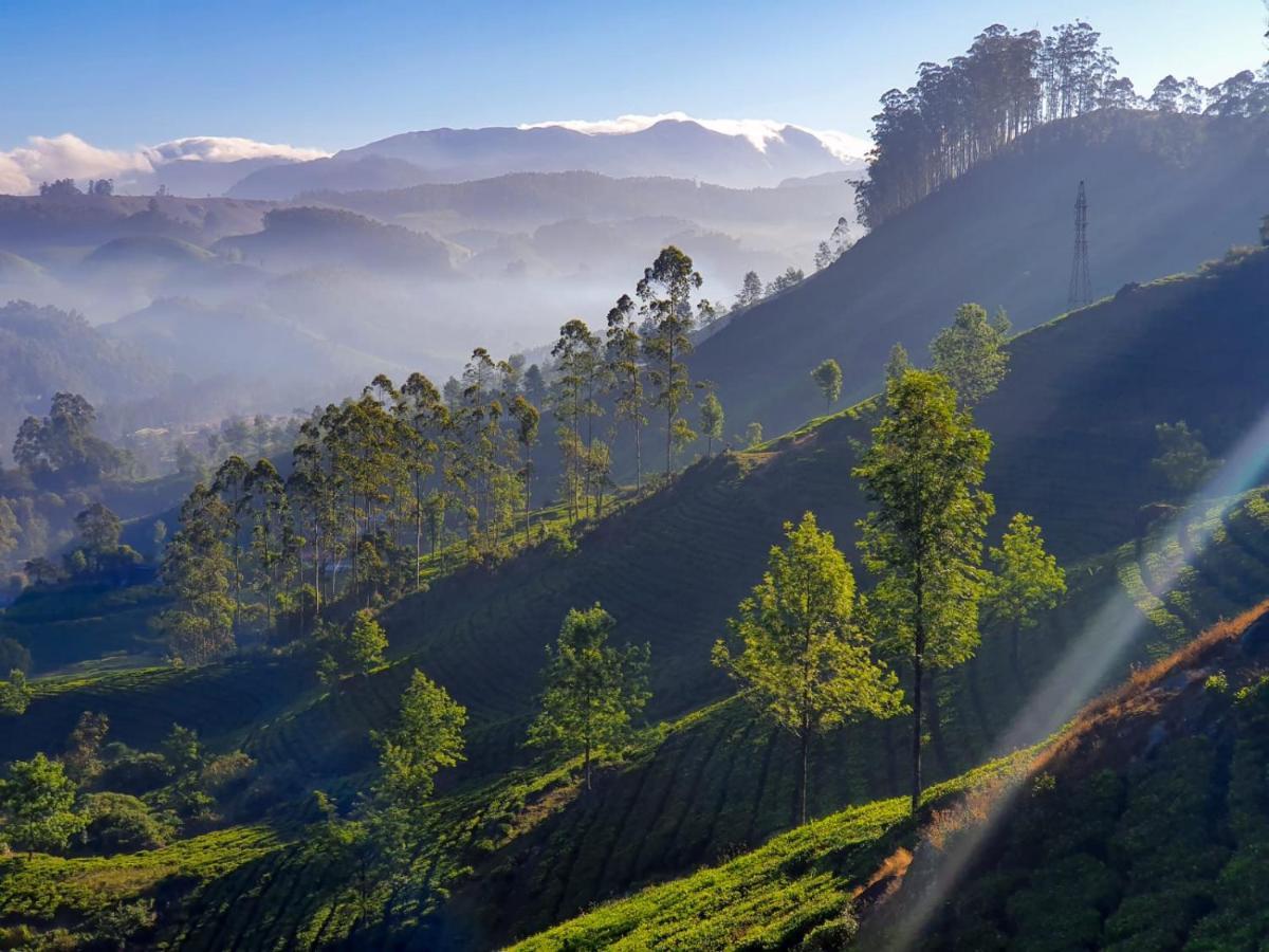 Grace Inn Munnar Homestay Eksteriør bilde